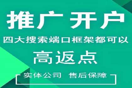 百度推广优化：案例分析网站流量翻倍技巧
